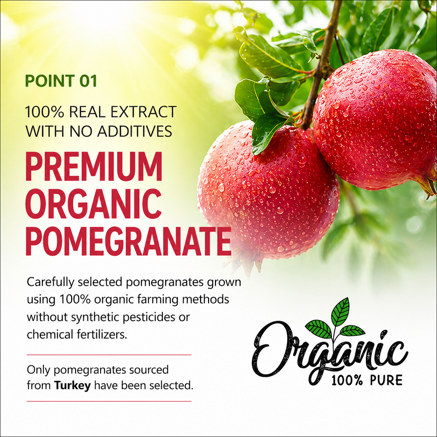 [Chunho N Care] 100%  Pure Juice Stick (Prune / Pomegranate)  퓨어 유기농 푸른즙 석류즙