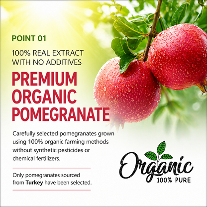 [Chunho N Care] 100%  Pure Juice Stick (Prune / Pomegranate)  퓨어 유기농 푸른즙 석류즙