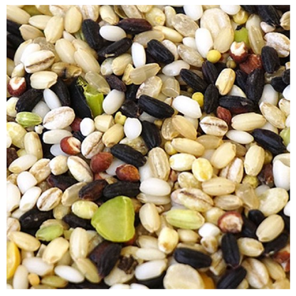 [Dasaeng] Korea 15 Mixed Multi Grains Rice 800g 다생 15곡 혼합곡