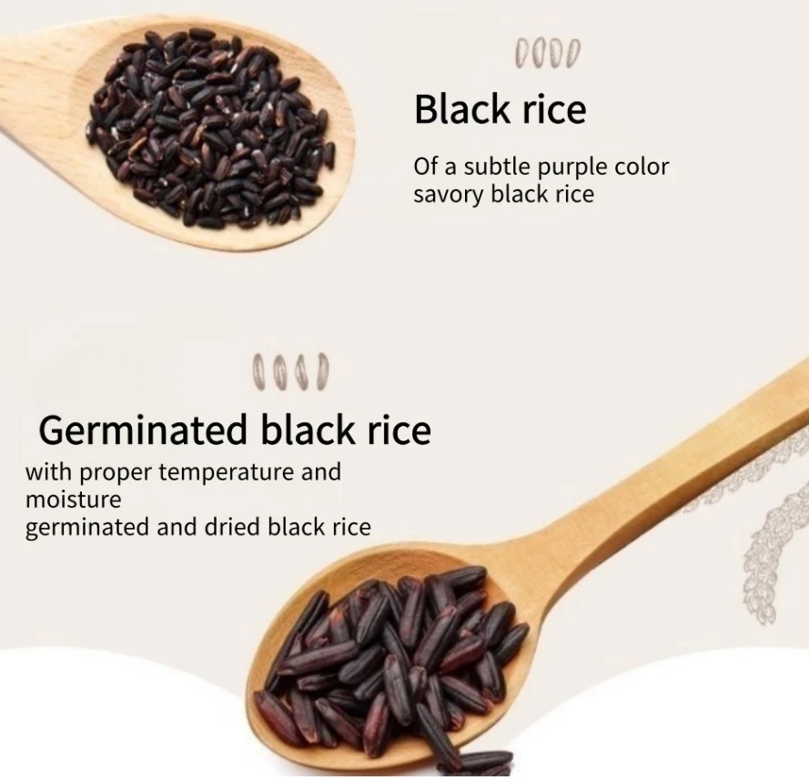 [Damtuh] Black Grain Mixed Powder 20g x 40 sticks 담터 검은콩 검은참깨 흑미 미숫가루