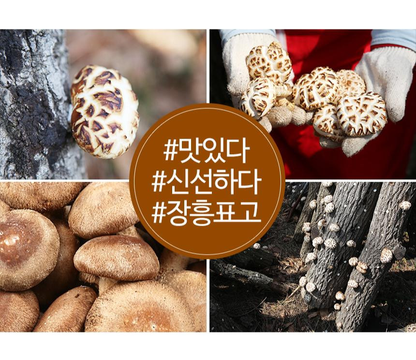 [Jeongnamjin] Jangheung Dried Oak Mushroom (Shiitake) 80g   장흥 마른 표고버섯