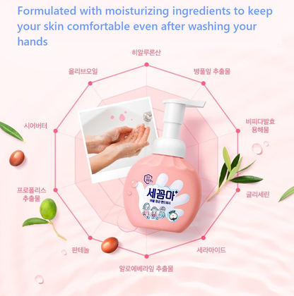 [LG] H&H Antibacterial Bubble Hand Wash 250ml  세꼼마 버블 핸드워시