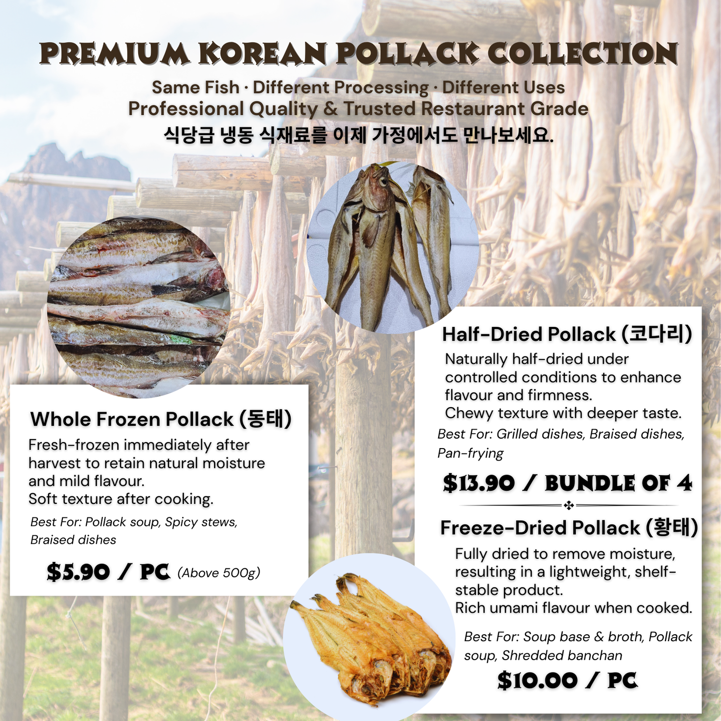 Premium Korean Pollack Collection