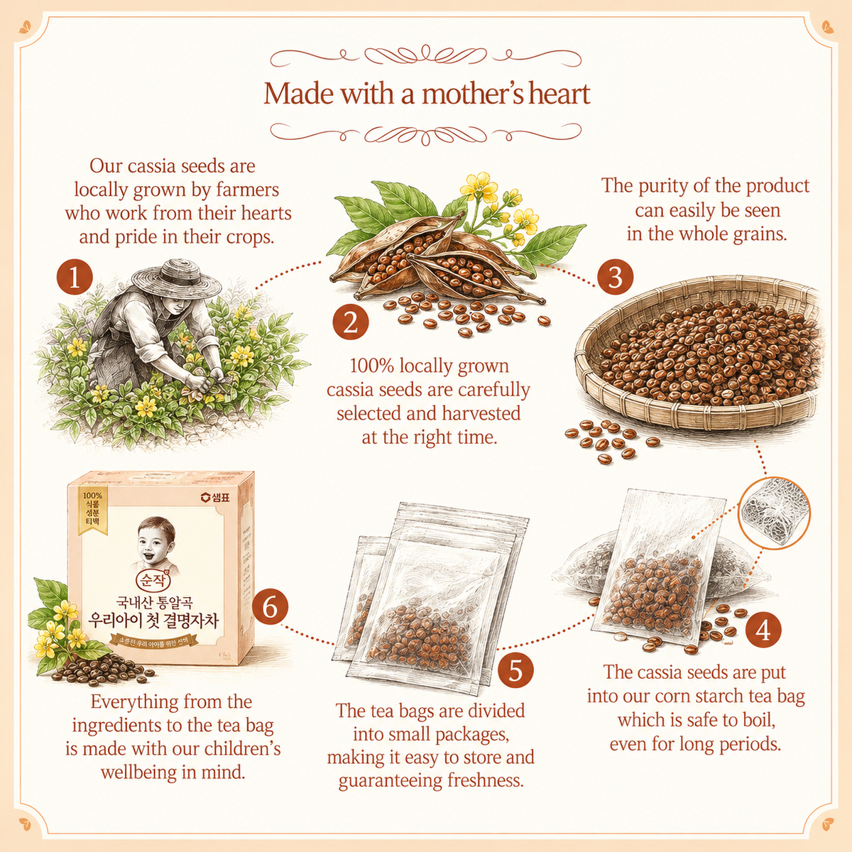 [Sunjak] My Child's First Cassia Seed Tea 75g (5g × 15 Tea Bags)  [순작]  통알곡 우리아이 첫 결명자차
