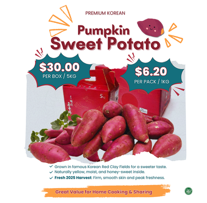 [PREMIUM KOREAN] Pumpkin Sweet Potato (5kg Box / 1kg)  호박고구마