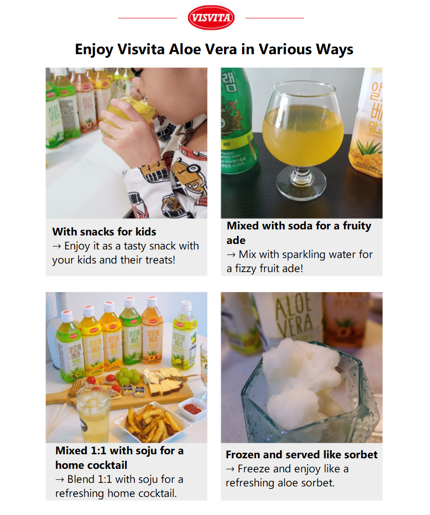 [VISVITA] Aloe Vera Drink 500ml  비스비타 알로에베라 음료