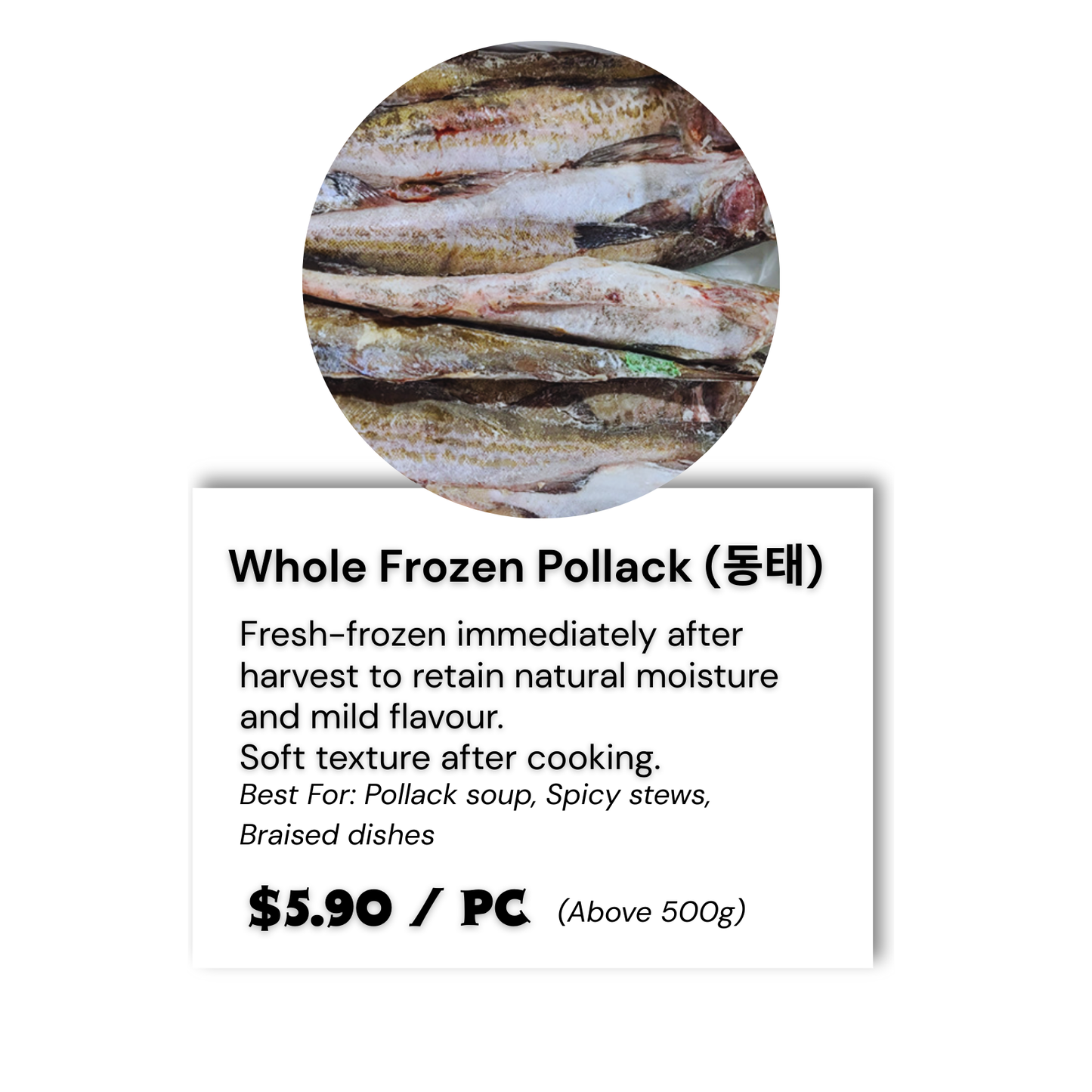 Premium Korean Pollack Collection
